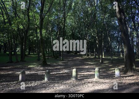 Chemin de terre partiellement à l'ombre à l'intérieur d'un parc avec des arbres voûtant dessus et des pylônes bordant une section de la route Banque D'Images