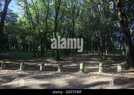 Chemin de terre partiellement à l'ombre à l'intérieur d'un parc avec des arbres voûtant dessus et des pylônes bordant une section de la route Banque D'Images