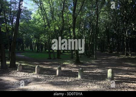 Chemin de terre partiellement à l'ombre à l'intérieur d'un parc avec des arbres voûtant dessus et des pylônes bordant une section de la route Banque D'Images