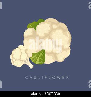 Chou-fleur frais - meristem d'inflorescence blanche - illustration stock comme fichier EPS 10 Illustration de Vecteur