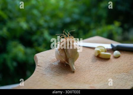 Ail entier et pelé prêt à cuire sur une planche de bois. Banque D'Images