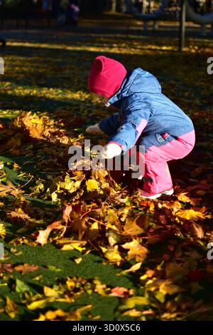 Jeune fille accroupie pour ramasser les feuilles tombées sur un terrain de jeu ensoleillé d'automne, explorant la nature et profitant des textures et des couleurs de la saison d'automne. Banque D'Images