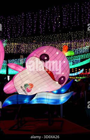 Lerongrong , mascotte officielle des 15es Jeux nationaux de la République populaire de Chine sur swimmimg, s'est illuminé dans Victoria Park, Hong Kong Banque D'Images