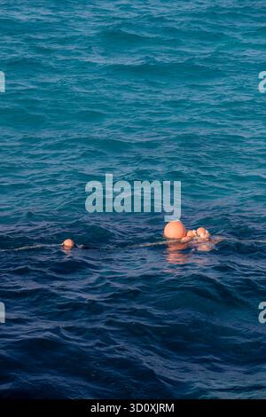 Bouées de sauvetage dans les eaux bleues de la Méditerranée, Côte Nord, Egypte Banque D'Images