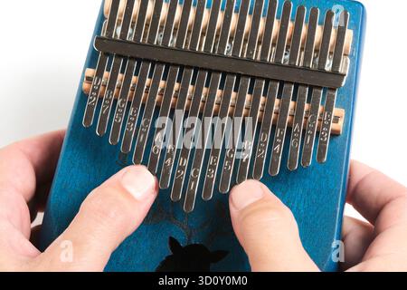 Gros plan de mains masculines jouant à la kalimba Banque D'Images