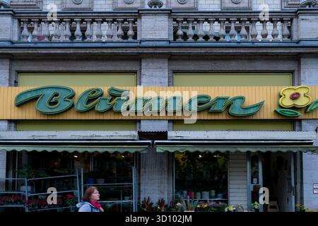 Enseigne au néon "Blumen" de style rétro dans les couleurs vert et jaune sur la façade d'un magasin de fleurs à Berlin, en Allemagne. Banque D'Images