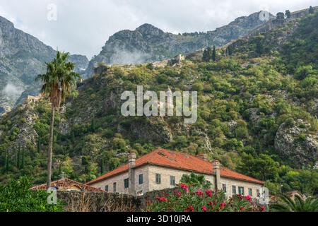 Vieille ville de Kotor, anciens remparts de la ville, église notre-Dame du remède, Monténégro, Europe Banque D'Images