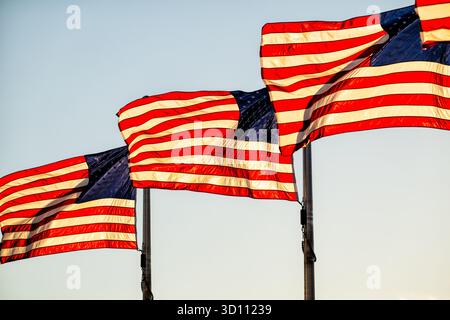 Draps américains sous la lumière dorée du crépuscule à Washington DC | WASHINGTON D.C., États-Unis — Les drapeaux américains ondulent contre un ciel dégagé, éclairés par le soleil bas dans les minutes précédant le coucher du soleil près du National Mall. Le design à 50 étoiles et 13 bandes date de 1960, et les drapeaux flottant près des sites fédéraux de la capitale sont traditionnellement illuminés ou baissés au crépuscule selon le code du drapeau américain. La lumière chaude de la „heure dorée“ sature les bandes, donnant au tissu une lueur presque translucide. Banque D'Images