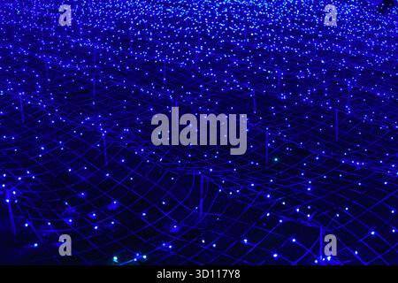 Fond futuriste abstrait de lumières LED bleues disposées en grille, réseau, luisant dans une atmosphère nocturne sombre. Fond texturé bokeh brillant Banque D'Images