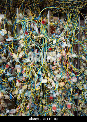 Enchevêtrement de fils et de câbles codés par couleur qui sont des points de connexion primaires à large bande, Angleterre, Royaume-Uni Banque D'Images