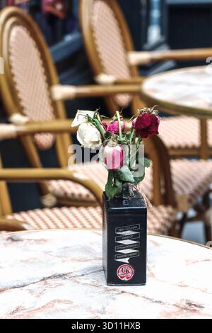 Cardiff, pays de Galles - 15 août 2022 : gros plan de roses séchées dans une bouteille de gin recyclé utilisée comme vase sur une table de café en marbre dans l'arcade de Cardiff Banque D'Images