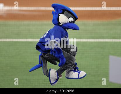 Toronto, Canada. 25 octobre 2025. ACE, la mascotte des Blue Jays de Toronto, se produit en deuxième manche lors du deuxième match des séries mondiales de la MLB contre les Dodgers de Los Angeles au Rogers Centre à Toronto, Canada, le samedi 25 octobre 2025. Photo de Aaron Josefczyk/UPI crédit : UPI/Alamy Live News Banque D'Images