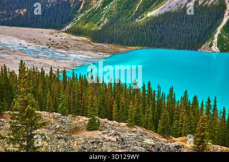 Turquoise Glacier Lake Evergreen Forest Rocky Shoreline dans la nature sauvage des montagnes canadiennes Banque D'Images