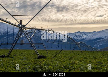 Un long système d'irrigation à pivot central sur une ferme en Nouvelle-Zélande, avec des montagnes enneigées en arrière-plan Banque D'Images