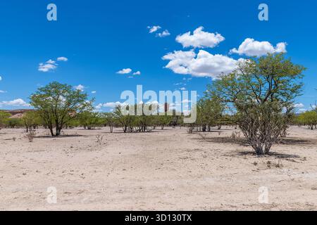 Route de sable dans la vallée de la rivière Ugab, Namibie Banque D'Images