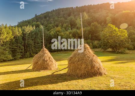 Des bottes de foin séchant dans un champ vert, avec des chaînes de montagnes lointaines sous un ciel bleu vif avec des nuages tortueux Banque D'Images