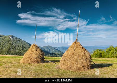 Des bottes de foin séchant dans un champ vert, avec des chaînes de montagnes lointaines sous un ciel bleu vif avec des nuages tortueux Banque D'Images
