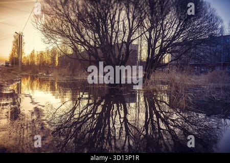 Un arbre se reflète dans une flaque d'eau. Peintures de printemps. Les flaques et la boue Banque D'Images