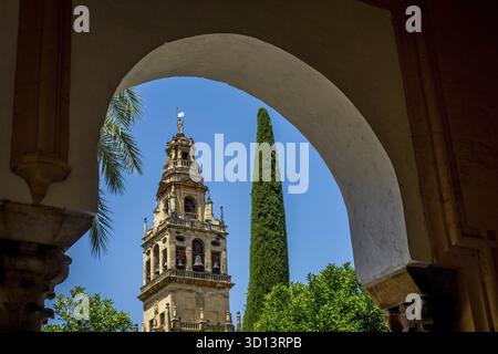 Clocher de la Mosquée-Cathédrale, Mezquita de Cordoue, la Grande Mosquée de Cordoue, Mosquée-Cathédrale, la Mezquita, Mezquita à Cordoue, Andalousie Banque D'Images