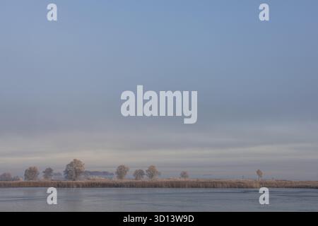 Paysage hivernal au Parc National Weerribben-Wieden avec brouillard matinal et lumière matinale, pays-Bas Banque D'Images