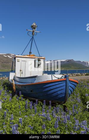 Thingeyri, Islande - 5 juillet 2016 : vieux bateau de pêche en bois bleu près du port de Thingeyri avec des montagnes et de la neige sur l'Islande, Thingeyri, IJsland Banque D'Images