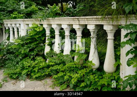 Une vieille clôture en pierre avec des balustres blancs dans le jardin. De vieux détails architecturaux envahis de plantes. Balustrades. Banque D'Images