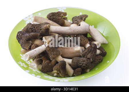Champignons morilles sur une plaque isolée sur fond blanc Banque D'Images