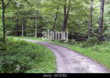 Rheinsteig Wanderweg Deutschland Banque D'Images