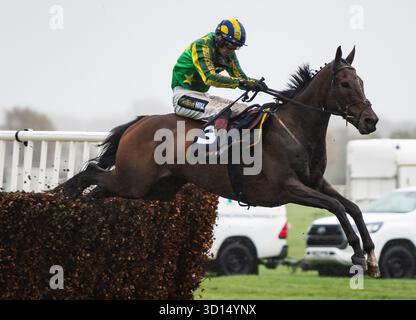 Liverpool, Royaume-Uni. Dimanche 26 octobre 2025. Torn and effiloché et Sam Twiston-Davies remportent le William Hill Vieux Lion Rouge Veterans' handicap Chase pour l'entraîneur Nigel & Willy Twiston-Davieset la propriétaire Mme Caroline Beresford-Wylie. Crédit JTW Equine images / Alamy Live News Banque D'Images