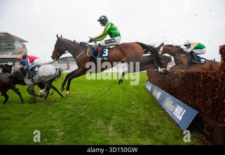 Liverpool, Royaume-Uni. Dimanche 26 octobre 2025. Torn and effiloché et Sam Twiston-Davies remportent le William Hill Vieux Lion Rouge Veterans' handicap Chase pour l'entraîneur Nigel & Willy Twiston-Davieset la propriétaire Mme Caroline Beresford-Wylie. Crédit JTW Equine images / Alamy Live News Banque D'Images
