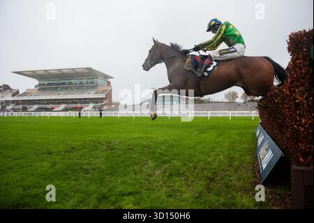 Liverpool, Royaume-Uni. Dimanche 26 octobre 2025. Torn and effiloché et Sam Twiston-Davies remportent le William Hill Vieux Lion Rouge Veterans' handicap Chase pour l'entraîneur Nigel & Willy Twiston-Davieset la propriétaire Mme Caroline Beresford-Wylie. Crédit JTW Equine images / Alamy Live News Banque D'Images