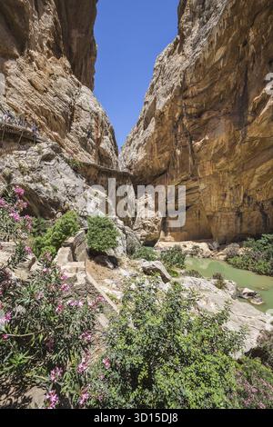 Chemin le long de falaises abruptes, rochers et rivière de montagne en Espagne, près de Malaga Banque D'Images