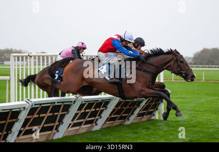 Liverpool, Royaume-Uni. Dimanche 26 octobre 2025. ACE of Spades et Harry Skelton remportent le William Hill Every Way Extra handicap Hurdle pour l'entraîneur Dan Skelton et les propriétaires Noel Fehily Racing syndicates - Ace. Crédit JTW Equine images / Alamy Live News Banque D'Images