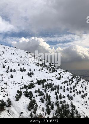 De jeunes pins parsèment une colline blanche sur Tochal tandis que des cumulus spectaculaires surplombent la ville en contrebas. Banque D'Images