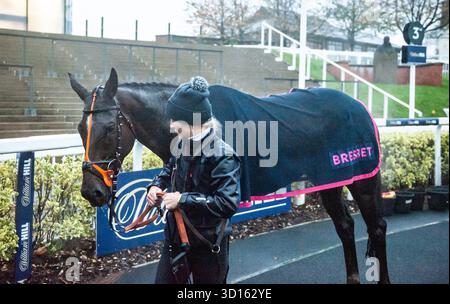 Liverpool, Royaume-Uni. Dimanche 26 octobre 2025. Edith Pelham après avoir remporté le Racing TV Mares Open National Hunt Flat Race à Aintree. Crédit JTW Equine images / Alamy Live News Banque D'Images