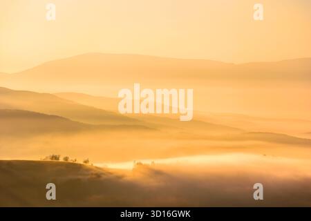 paysage abstrait des montagnes des carpates dans le brouillard d'automne au lever du soleil. belle vue sur la vallée du perechyn. collines de l'ukraine dans la mer de golde Banque D'Images