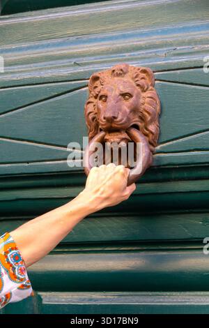 Un poing levé saisit un anneau circulaire en métal tenu par une tête de lion sculptée sur une porte en bois vert altéré. L'image évoque la force, l'invitation, l'histoire Banque D'Images