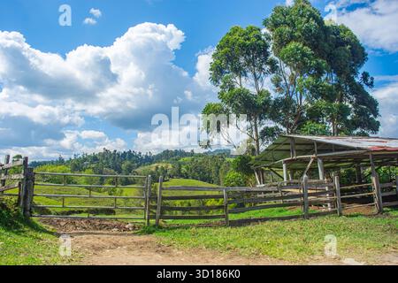 Une scène rurale pittoresque à Huila, en Colombie, avec une végétation luxuriante, des nuages majestueux et une clôture en bois menant à des collines ondulantes. Banque D'Images
