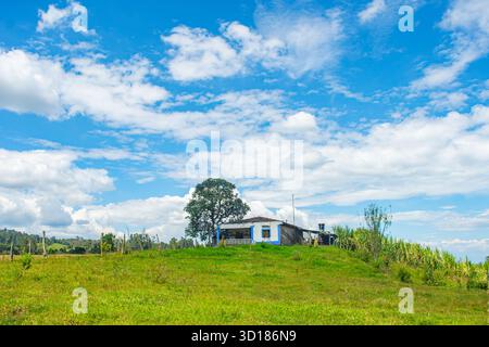 Une scène rurale pittoresque à San Agustin, Huila, avec une maison traditionnelle entourée d'une végétation luxuriante et d'un ciel bleu. Banque D'Images