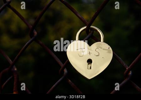 Un seul cadenas d'amour doré en forme de cœur ou cadenas d'amour sur une barrière cyclonique symbolisant le lien d'amour partagé entre deux partenaires. Banque D'Images