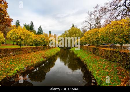 Vue d'automne du ruisseau Stiavnice qui traverse Luhacovice, République tchèque, entouré d'arbres de couleurs rouge, orange et jaune reflétant en th Banque D'Images