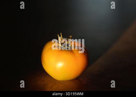 Tomate orange verte unique sur le comptoir de cuisine au soleil chaud Banque D'Images