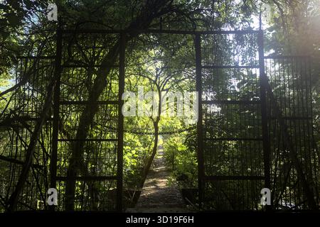 Portail métallique au début d'une bande de béton avec des arbres autour d'elle dans une forêt Banque D'Images