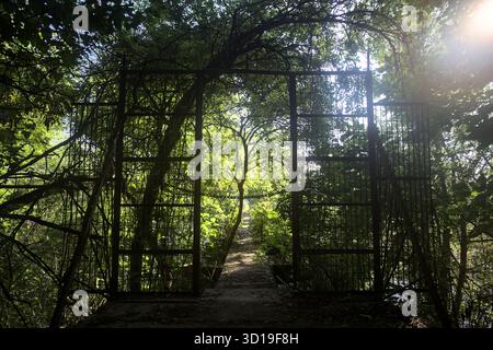 Portail métallique au début d'une bande de béton avec des arbres autour d'elle dans une forêt Banque D'Images