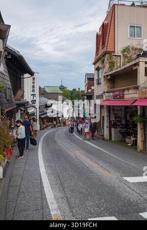 Boutiques traditionnelles de la rue Omotesando, Narita, Japon Banque D'Images
