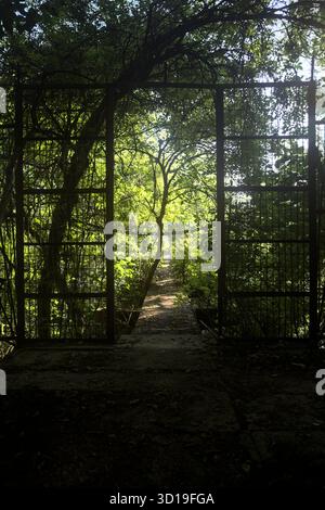 Portail métallique au début d'une bande de béton avec des arbres autour d'elle dans une forêt Banque D'Images