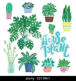Collection de plantes d'décoratif isolé sur fond blanc. Ensemble de plantes poussant dans la mode des pots ou des jardinières. Ensemble de beaux sites naturels accueil Illustration de Vecteur