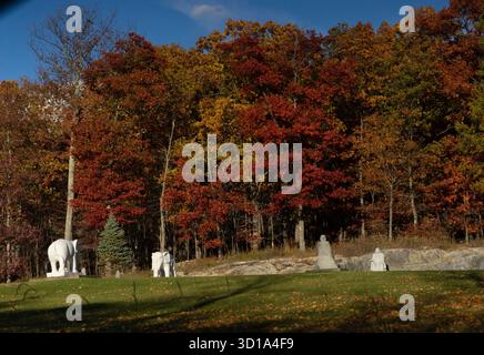 Vue sur les feuilles d'automne éclatantes dans des teintes flamboyantes au-dessus des sculptures stoïques debout sentinelle sur la pelouse verdoyante, Poughkeepsie, New York, United Stat Banque D'Images