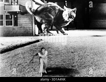 THE INCREDIBLE SHRINKING MAN 1957 Universal Pictures film d'horreur avec Grant Williams Banque D'Images
