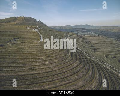 Vue aérienne des vignobles en terrasses descendant les pentes, créant une tapisserie texturée sous le vaste ciel, un témoignage de la culture humaine, Tomino, Pontevedra, Espagne. Banque D'Images
